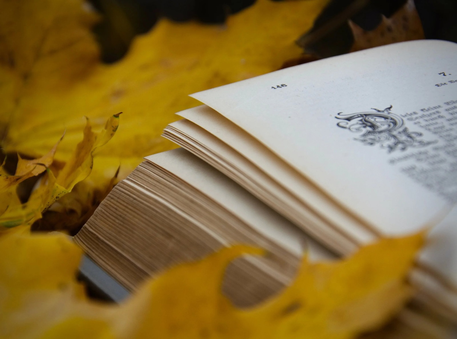 Stephanie Colbert’s Fire Demon Redefines the Fantasy Adventure Genre